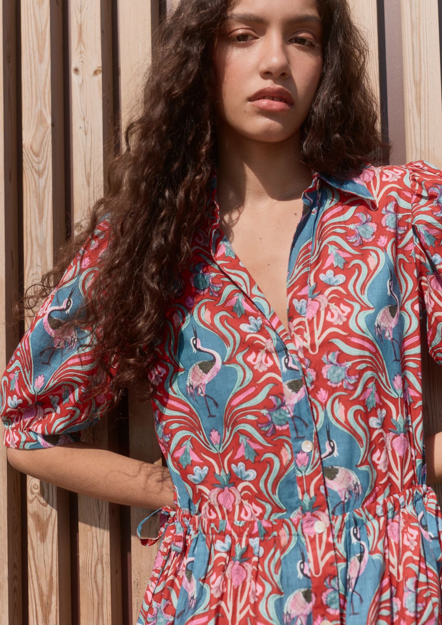 Image de diapositive