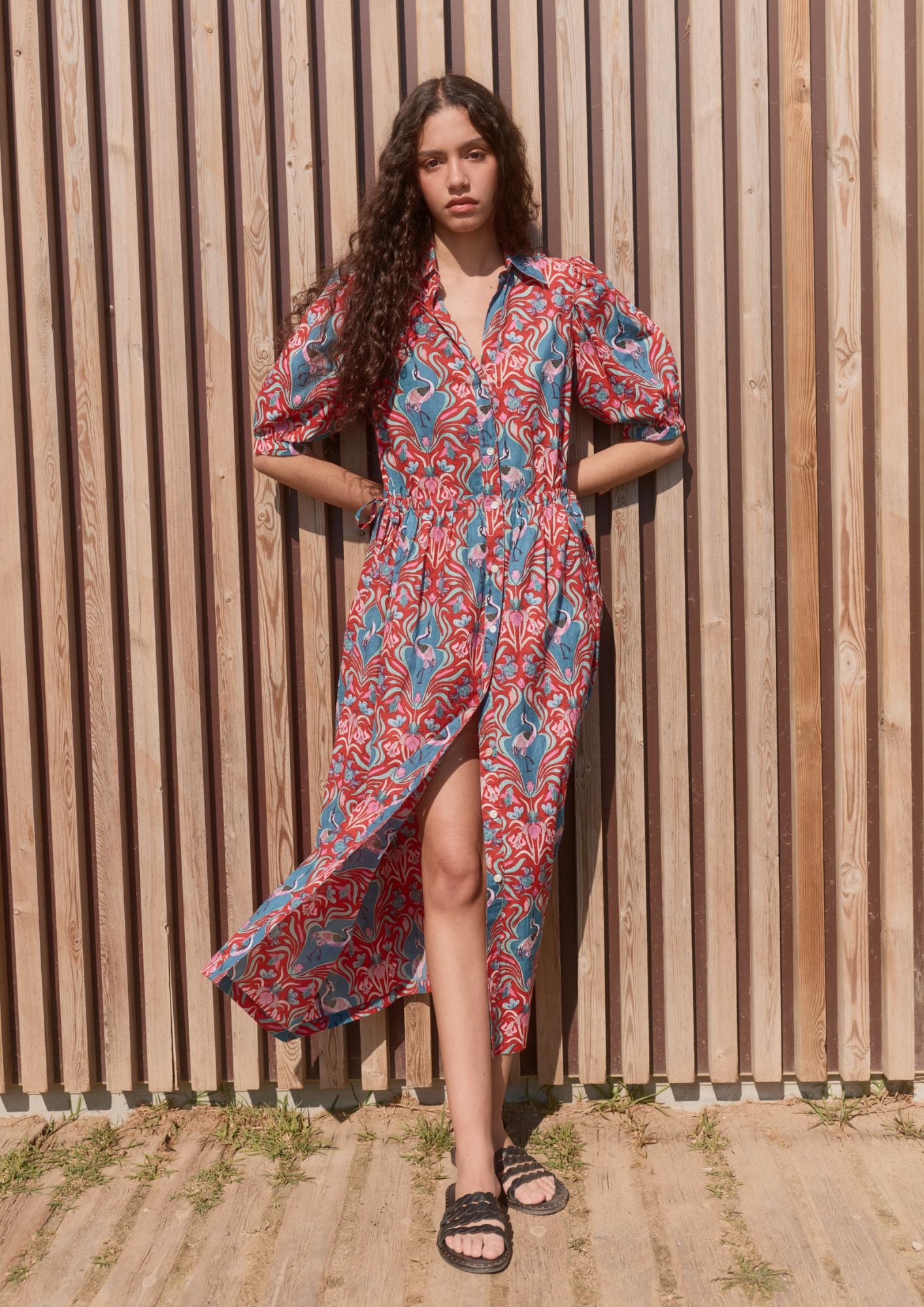 Image de diapositive