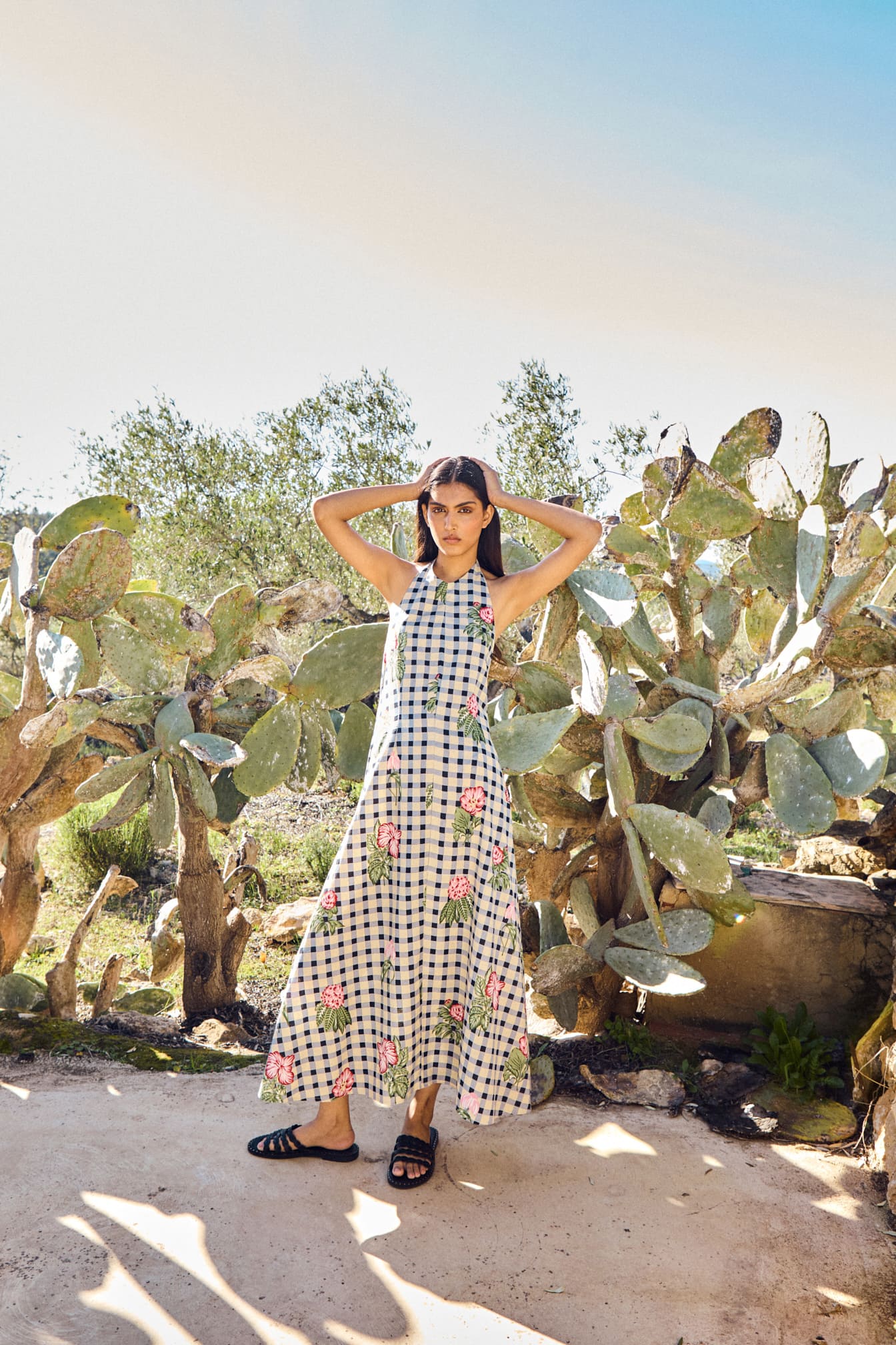 Imagen de diapositiva