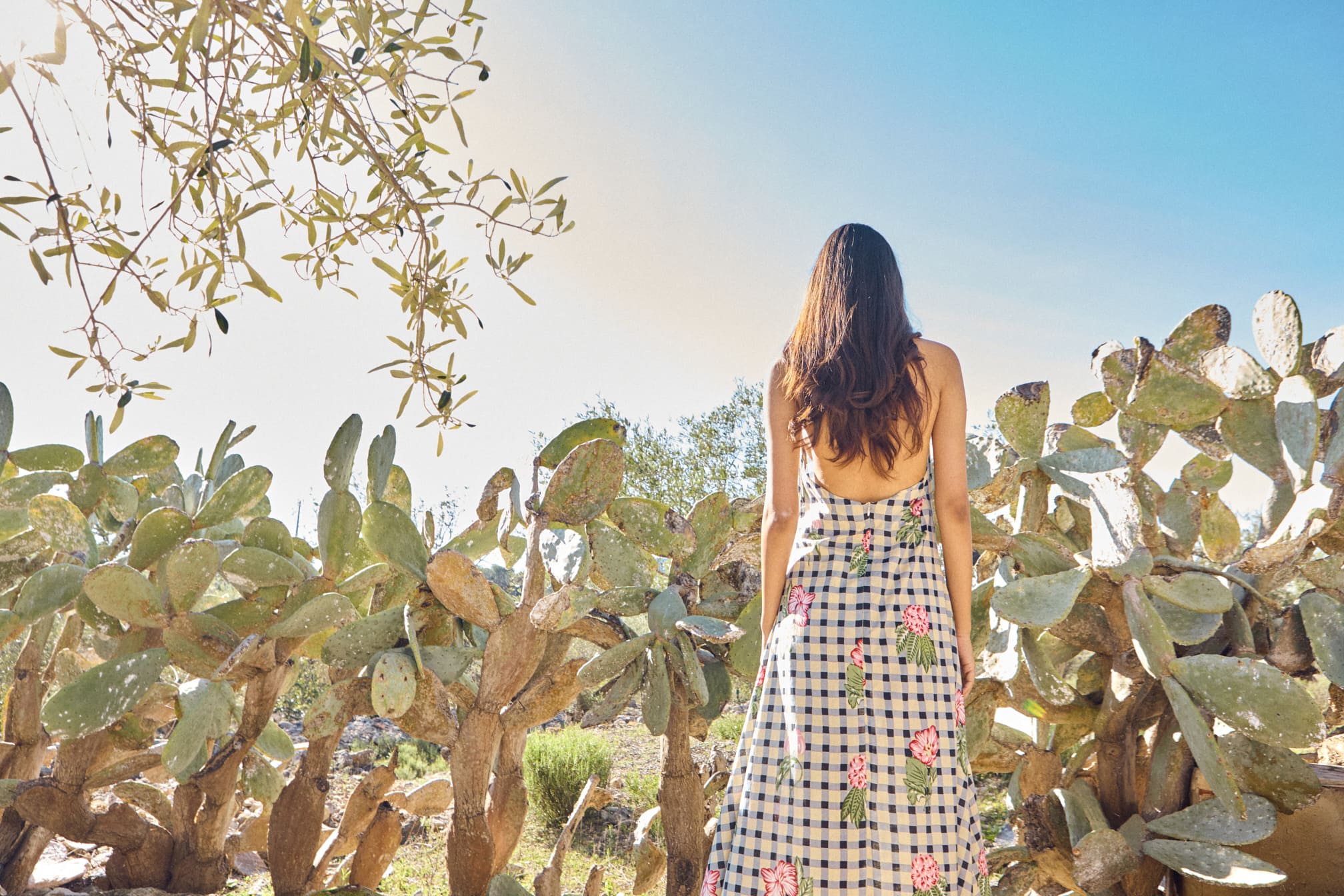 Imagen de diapositiva