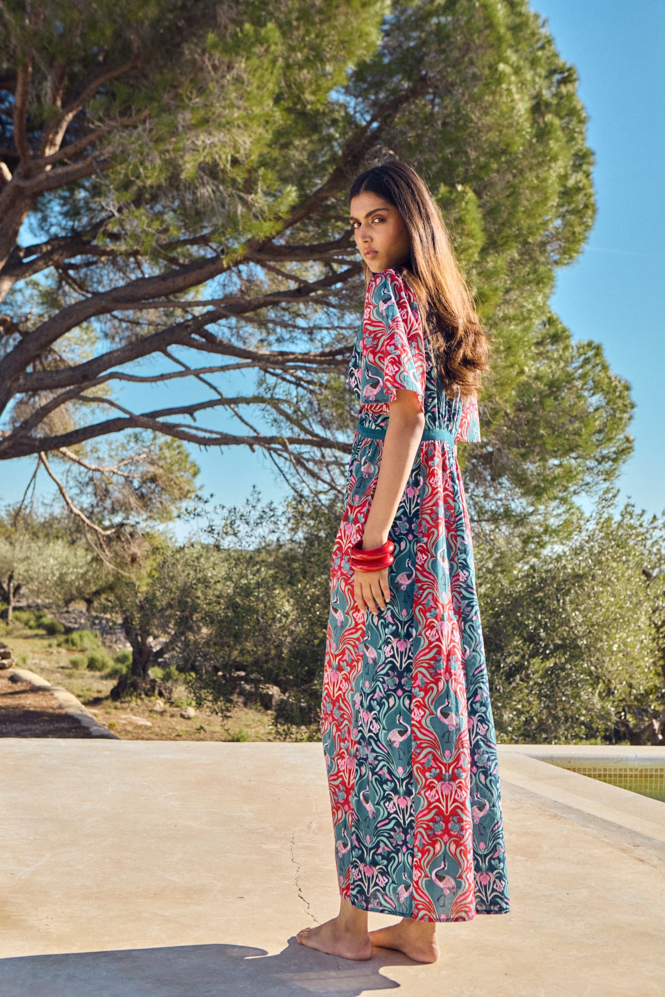 Imagen de diapositiva