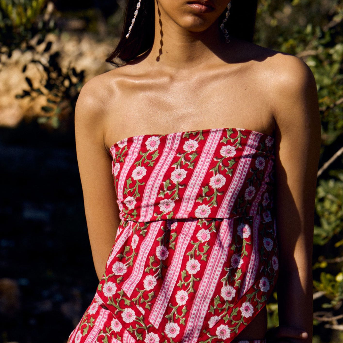 Imagen de diapositiva