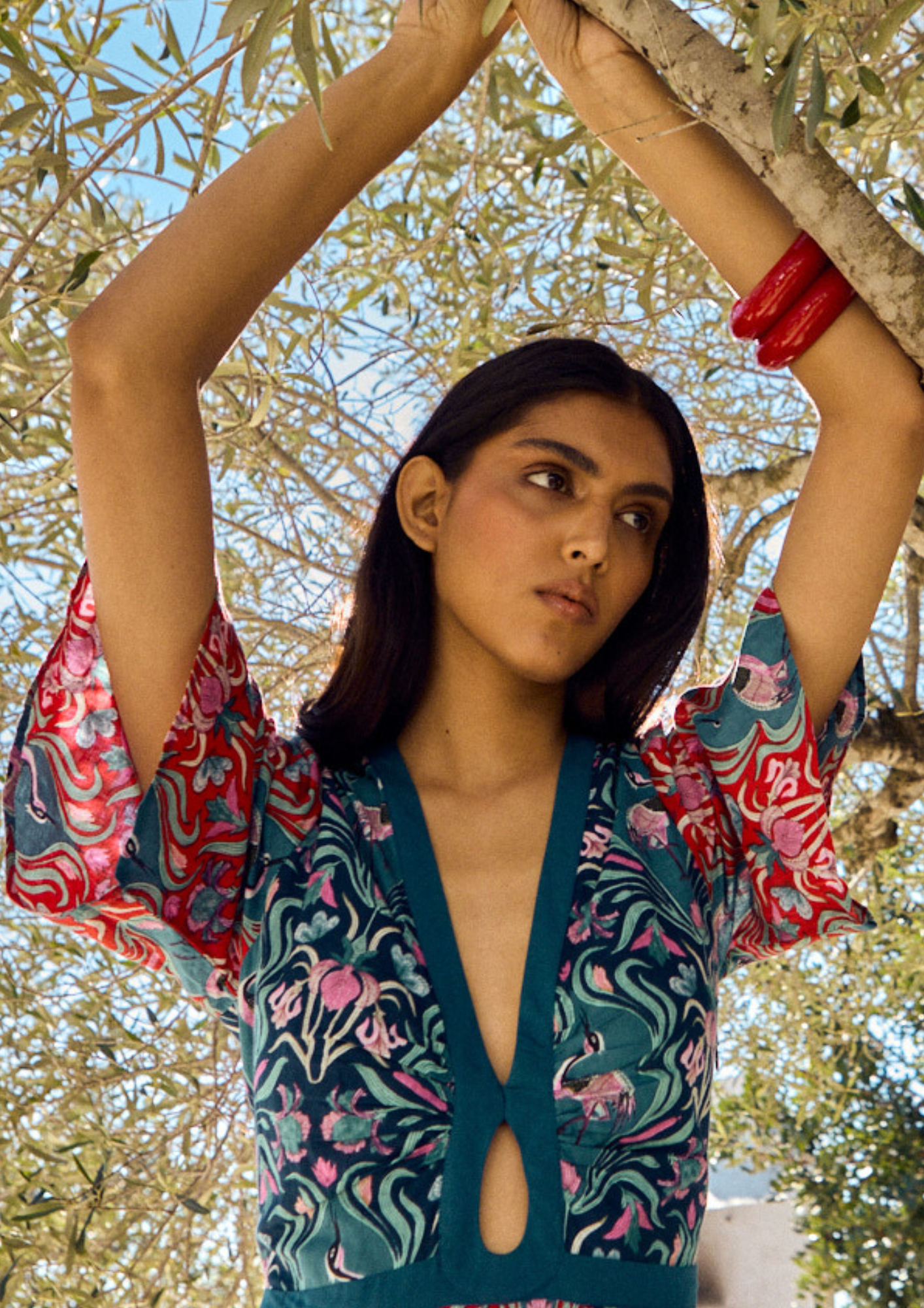 Image de diapositive