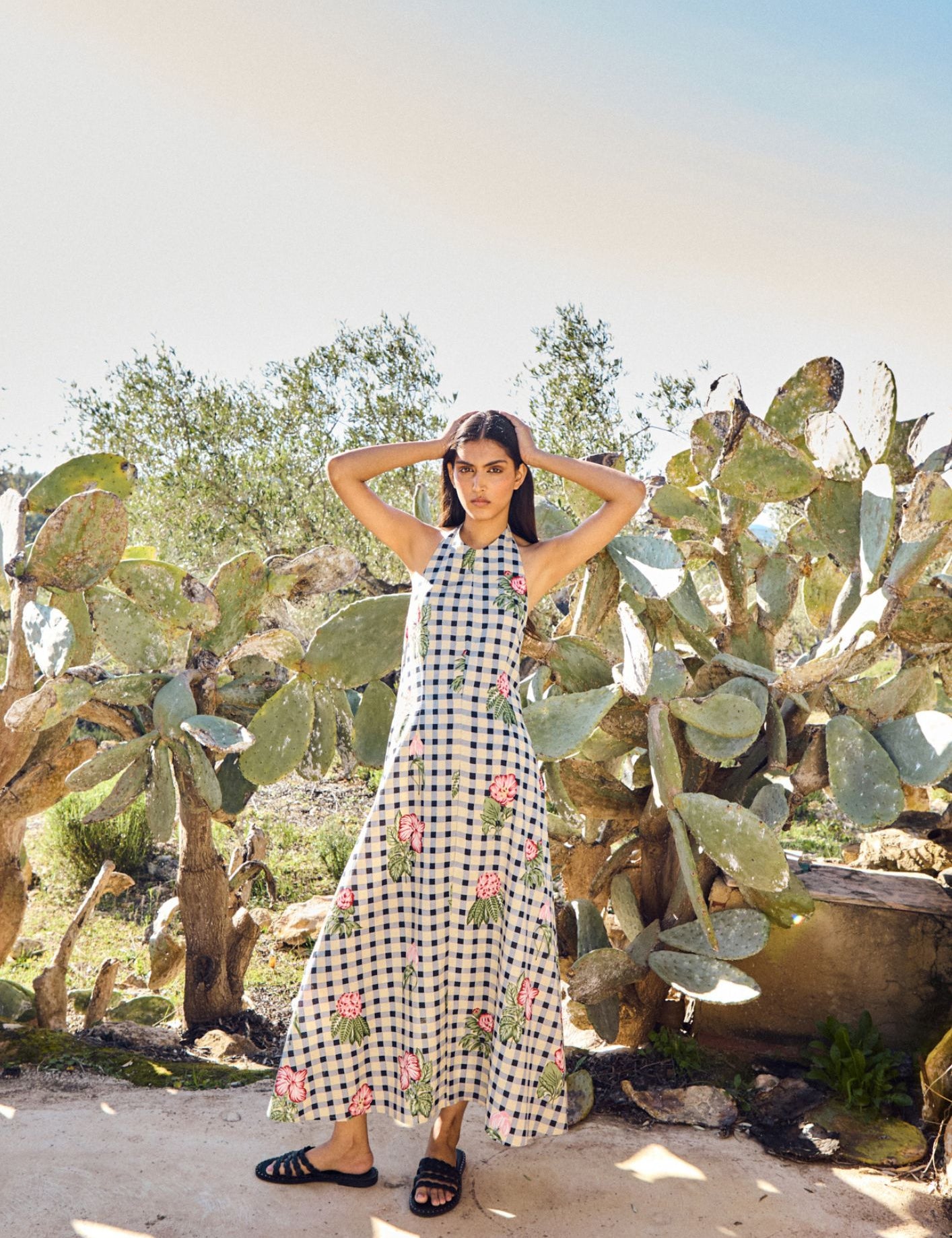 Imagen de diapositiva