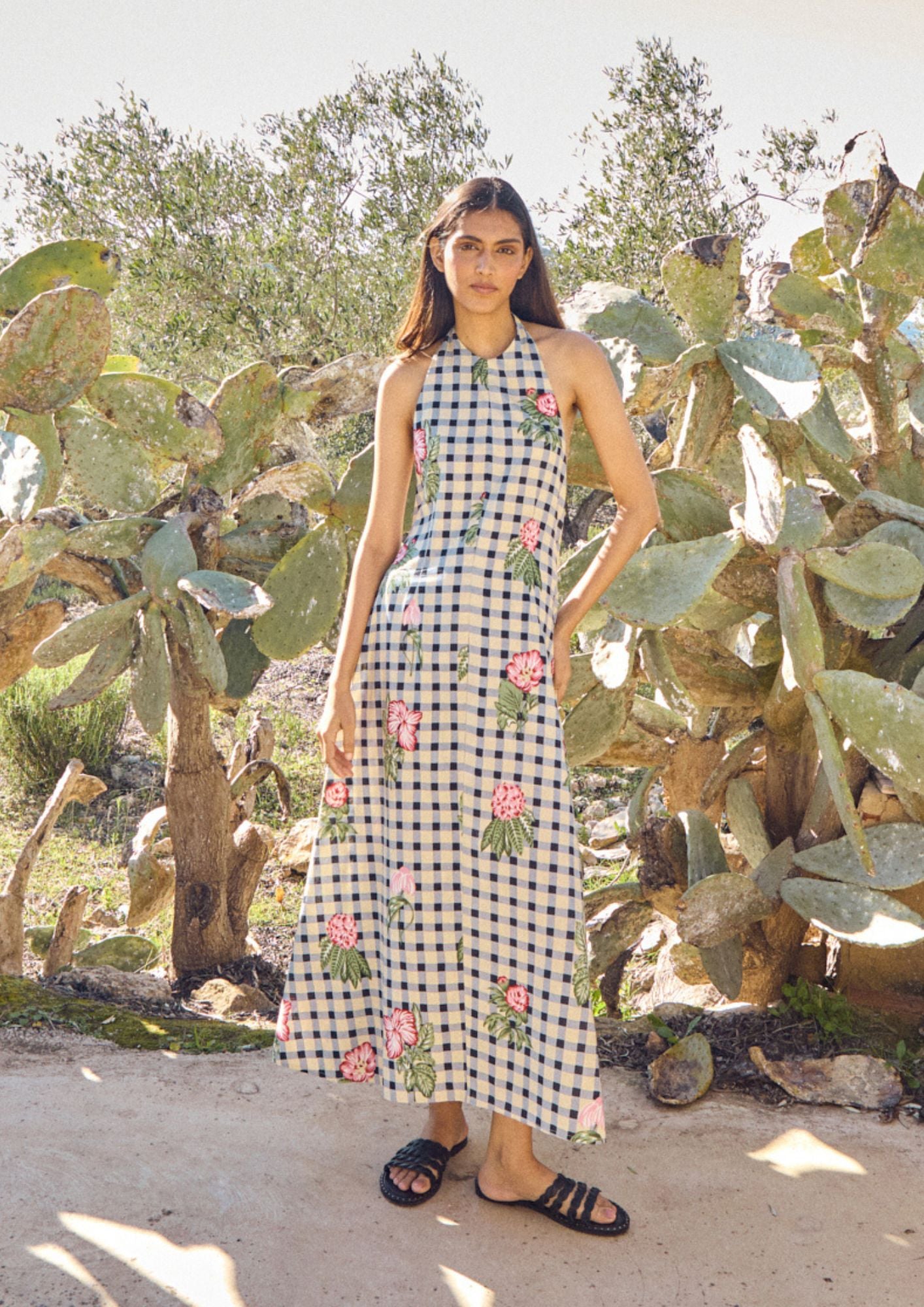 Imagen de diapositiva