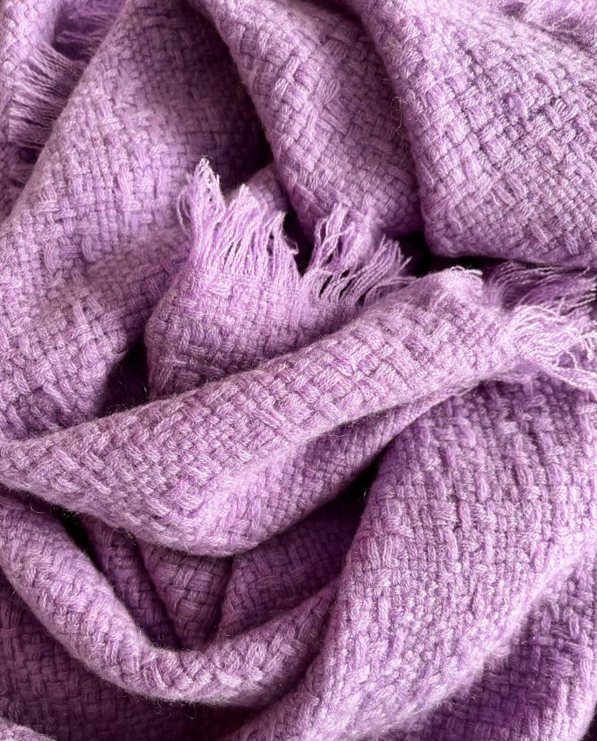 orchid_cashmere_barcelona